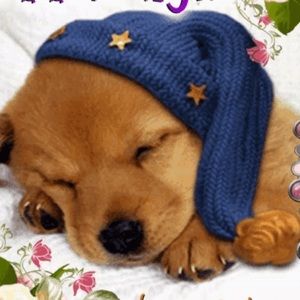 Meet your Posher, Joanne